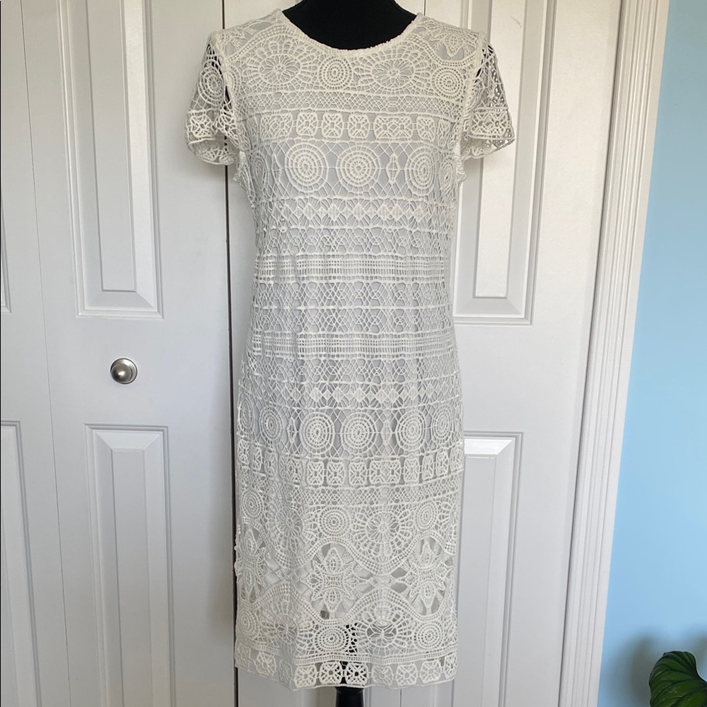 Allison Brittney Medium Classy White Lace Embroidered Trim Lined Dress